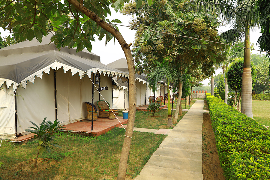 Bagh Tent