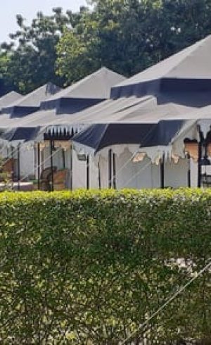 whatsapp-image-2025-09-24-at-11.31.05-pm-dOqZbOk1Dxhlv8JD